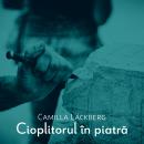 [Romanian] - Cioplitorul în piatră Audiobook