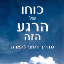 [Hebrew] - כוחו של הרגע הזה Audiobook