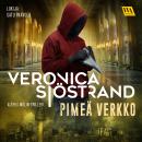 Pimeä verkko Audiobook