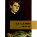 [Hebrew] - פנתר במרתף Audiobook