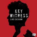 Key Witness Audiobook