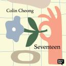Seventeen Audiobook