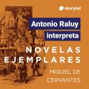 [Spanish] - Novelas Ejemplares Audiobook