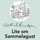 Lite om Sammelagust Audiobook