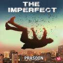 The Imperfect Audiobook