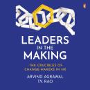 Leaders in the Making: The Crucibles of Change-Makers in HR: The Crucibles of Change-Makers in HR Audiobook