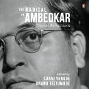 The Radical in Ambedkar: Critical Reflections Audiobook