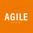 Agile: Maak je organisatie gezond, flexibel en fit Audiobook