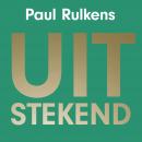 Uitstekend: High-performanceprincipes voor zakelijk en professioneel succes Audiobook