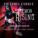 Demon Rising Audiobook