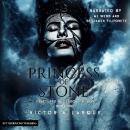 Princess of Stone Audiobook