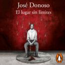 [Spanish] - El lugar sin límites Audiobook