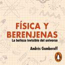 [Spanish] - Física y berenjenas: La belleza invisible del universo Audiobook