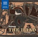 The Iliad Audiobook