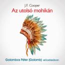 [Hungarian] - Az utolsó mohikán (teljes) Audiobook