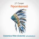[Hungarian] - Nyomkereső (teljes) Audiobook