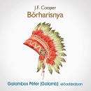[Hungarian] - Bőrharisnya Audiobook