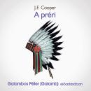 [Hungarian] - A préri (teljes) Audiobook