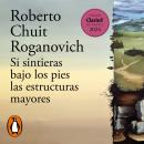[Spanish] - Si sintieras bajo los pies las estructuras mayores: Premio Clarín de Novela 2024 Audiobook