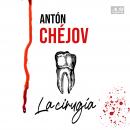 [Spanish] - La Cirugía Audiobook