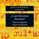 [Spanish] - ¿A qué llamamos literatura? - Todas las preguntas y algunas respuestas Audiobook