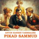 [Estonian] - Pikad sammud Audiobook
