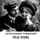 [Estonian] - Üle piiri Audiobook