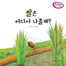 [Korean] - 쌀은 어디서 나올까?