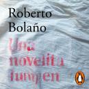 [Spanish] - Una novelita lumpen Audiobook