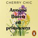 [Spanish] - Aunque llueva en primavera Audiobook