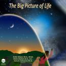 The Big Picture of Life Audiobook