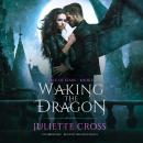 Waking the Dragon Audiobook