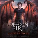 Dragon Fire Audiobook