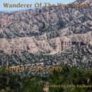 Wanderer of the Wasteland Audiobook
