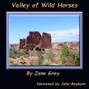 Valley of Wild Horses Audiobook