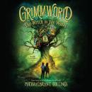 The Witch in the Woods Audiobook
