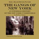 The Gangs of New York: An Informal History of the New York Underworld Audiobook