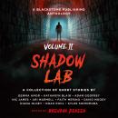 Shadow Lab, Volume Two: A Blackstone Publishing Anthology Audiobook