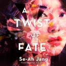A Twist of Fate: A Novel Audiobook