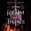 Realm of Thieves Audiobook