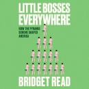 Little Bosses Everywhere: How the Pyramid Scheme Shaped America Audiobook
