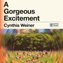 A Gorgeous Excitement: A Novel Audiobook
