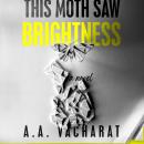 This Moth Saw Brightness Audiobook