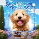 Tobey and Jones Go Places #4 Audiobook