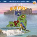 Where Is New York? Audiobook
