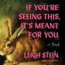 Cover of If You're Seeing This, It's Meant for You: A Novel