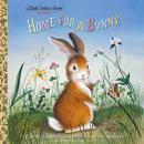 Cover of Home for a Bunny