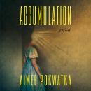Accumulation Audiobook
