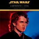 Labyrinth of Evil: Star Wars Legends Audiobook