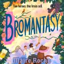 Cover of Bromantasy